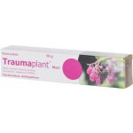 TRAUMAPLANT DRM UNG 50G – Zboží Dáma