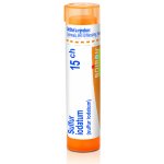 SULFUR IODATUM POR 15CH GRA 4G – Hledejceny.cz