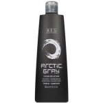 Bes Color Reflection Shampoo Artic Grey 300 ml – Hledejceny.cz