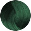 Barva na vlasy Fanola No Yellow Color Toner zelený 100 ml