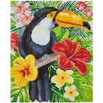 VIMALOR Diamantové malování Tukan 34 x 43 cm – Zboží Mobilmania
