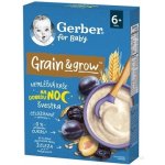 Gerber for Baby Nemléčná kaše na dobrou noc švestka 200 g – Hledejceny.cz
