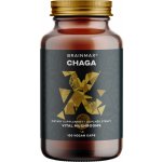 BrainMax Chaga extrakt 500 mg 100 rostlinných kapslí – Hledejceny.cz