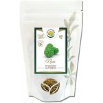 Salvia Paradise Morinda citrifolia prášek 100 g – Hledejceny.cz