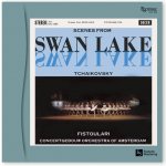 Esoteric TCHAIKOVSKY Swan Lake – Hledejceny.cz