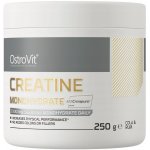 Ostrovit Creatine monohydrate Creapure 250 g – Hledejceny.cz