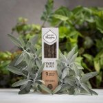 Sagrada Madre Vonné tyčinky s bílou šalvějí 8 ks – Hledejceny.cz