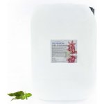 PM Aqualog esence do parních kabin euka-menthol 820-010/D 10 l – Hledejceny.cz