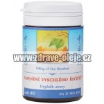 TCM Herbs Naplnění vyschlého řečiště 100 tablet – Hledejceny.cz