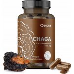 MOVit Chaga 50% polysacharidů 500 mg 90 kapslí – Hledejceny.cz