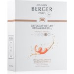 Maison Berger Paris Inzenzivní třpyt 2 ks | Zboží Auto