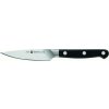 Kuchyňský nůž ZWILLING Nůž Pro špikovací 10 cm