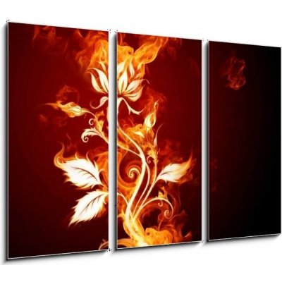 Obraz 3D třídílný - 105 x 70 cm - Fire rose Oheň vzrostl – Zboží Mobilmania