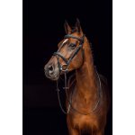 HORZE Uzdečka Sion kožená černá – Zboží Mobilmania