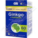 GS Ginkgo 2023 60 mg s hořčíkem 90+30 tablet – Sleviste.cz