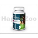 Univit Roboran H pro barevné psy 100 tbl – Zboží Dáma