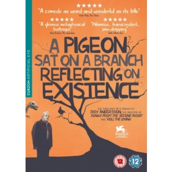 A Pigeon Sat on a Branch Reflecting on Existence DVD