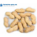 Avicentra Burské oříšky 10 kg – Zboží Dáma