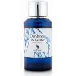 Volare ombres de la mer parfémovaná voda unisex 100 ml – Hledejceny.cz