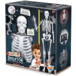 BUKI Obří lidská kostra 85cm – Zboží Dáma