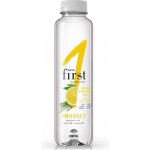 Fructal PROTECT citron citronová tráva 0,5 l – Hledejceny.cz