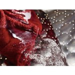 Miele WTR870 WPM – Sleviste.cz