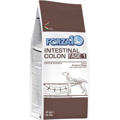 Forza 10 Active Line Intestinal Colon Phase 1 2 x 10 kg – Zboží Mobilmania