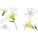AG Design F0446 Samolepicí dekorace LILY rozměry 65 x 85 cm – Zboží Dáma