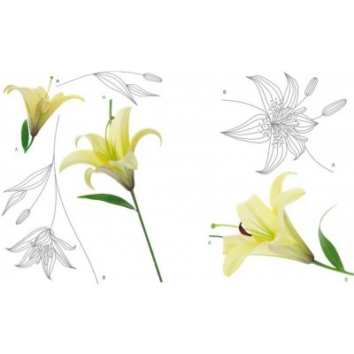 AG Design F0446 Samolepicí dekorace LILY rozměry 65 x 85 cm – Zboží Dáma