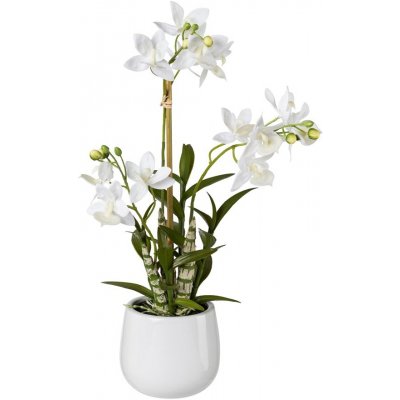 Gasper Japonská orchidej 55 cm (vč.květináče)