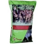 Energys Mineral 25 kg – Sleviste.cz