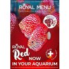 Discus-Siner Royal Menu Red S 1 l, 400 g