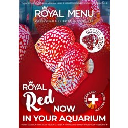Discus-Siner Royal Menu Red XL 300 ml, 130 g