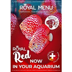 Discus-Siner Royal Menu Red L 300 ml, 130 g