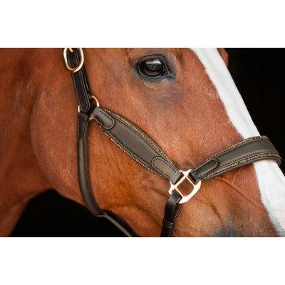 JD Attack Kožená ohlávka Montana tmavě hnědá – Zboží Dáma