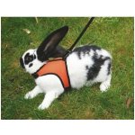 Postroj pro hlodavce Sport oranžový 22 26 cm – Zboží Mobilmania