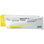 Urocid pasta 100 g – Zboží Dáma