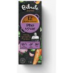 Cibule Bistro Pho vývar 1 l – Hledejceny.cz