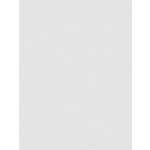 A.S. Création 392163 Vliesová tapeta na zeď Metropolitan Stories 3 Travel rozměry 0,53 x 10,05 m – Hledejceny.cz