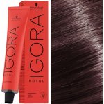 Schwarzkopf Professional Igora Royal Color 8-19 světlá blond popelavě fialová 60 ml – Zboží Dáma