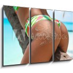 Obraz 3D třídílný - 105 x 70 cm - Outdoor Closeup of Fit buttocks. Fitness woman on a palm tree. Sexy Ass over exotic beach. Sporty concept. Summertime vacation. Venkovn – Sleviste.cz