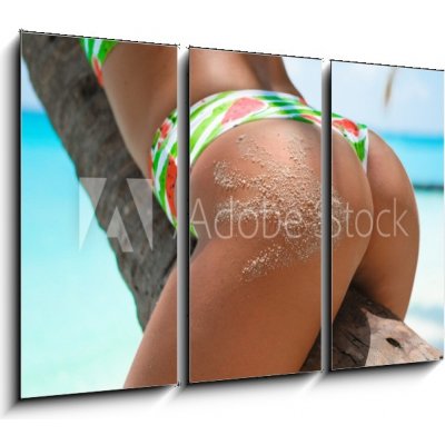 Obraz 3D třídílný - 105 x 70 cm - Outdoor Closeup of Fit buttocks. Fitness woman on a palm tree. Sexy Ass over exotic beach. Sporty concept. Summertime vacation. Venkovn