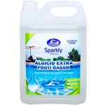 Sparkly POOL ALGICID EXTRA PROTI ŘASÁM 5 l – Zbozi.Blesk.cz