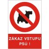 Zákaz vstupu psů | Plast, A4