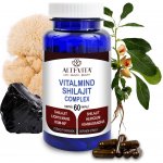 Altevita Vitalmind Shilajit Complex 60 kapslí – Hledejceny.cz
