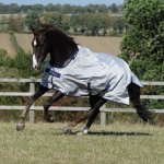 Bucas Deka výběhová Sun Shower lehká silver – Hledejceny.cz