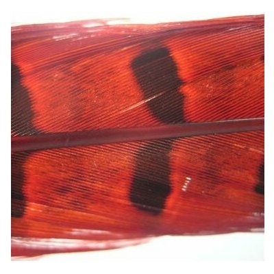 Hends HE PHEASANT TAIL - ČERVENÁ – Hledejceny.cz