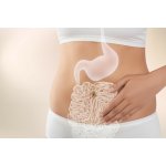 BIO Levandule Chodouňská DETOX - Tři dny očisty v Levandulovém údolí aneb jak na své podvědomí Dárkový poukaz: PDF elektronická verze poukazu – Sleviste.cz