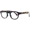 Zippo brýle na čtení 31ZPR72-100