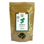 Salvia Paradise Chlorella prášek 100% HQ dezintegrovaná 30 g – Zbozi.Blesk.cz